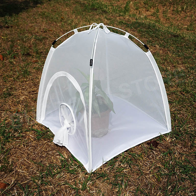 BugDorm-2M120 Insect Rearing Tent – InsectaBio