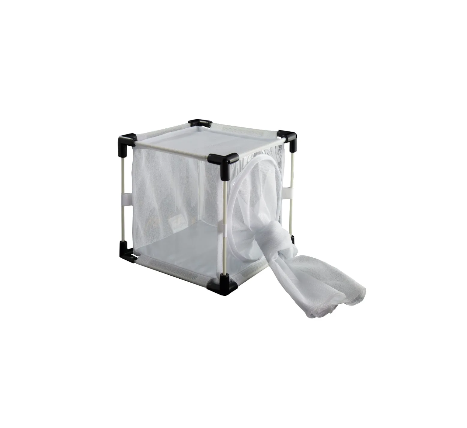 Insect Rearing Station 4-Units BugDorm-4M1515 Insect Rearing Cage – InsectaBio
