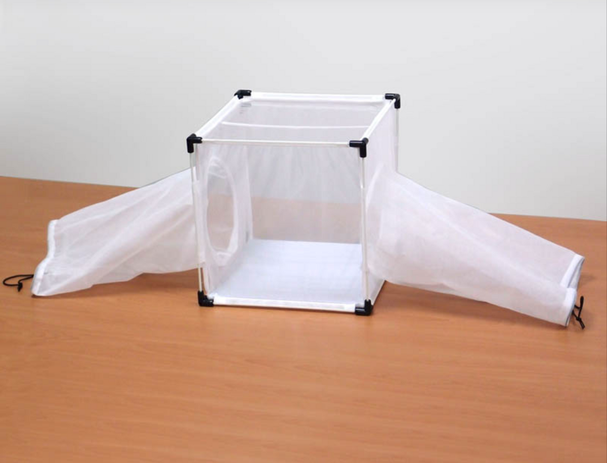 BugDorm-4M3030D Specimen Handling Cage – InsectaBio